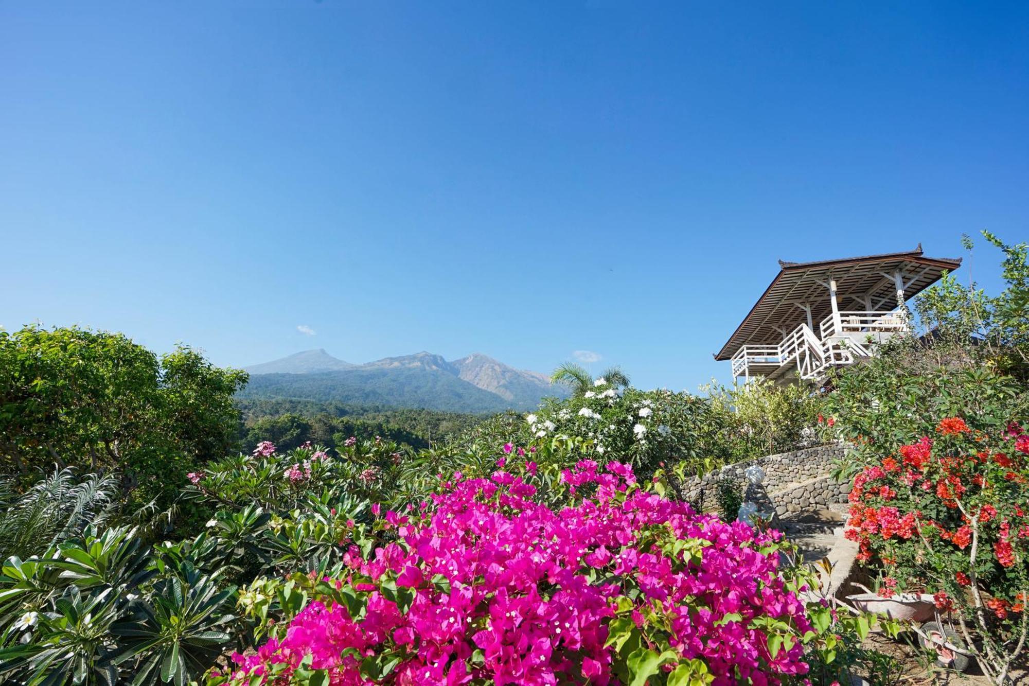 Rinjani Lodge セナル エクステリア 写真